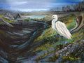 A beautiful white heron